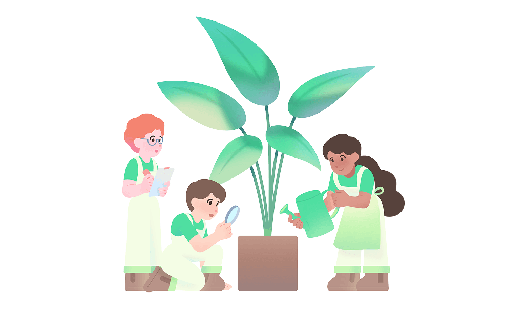 TimeTree Value